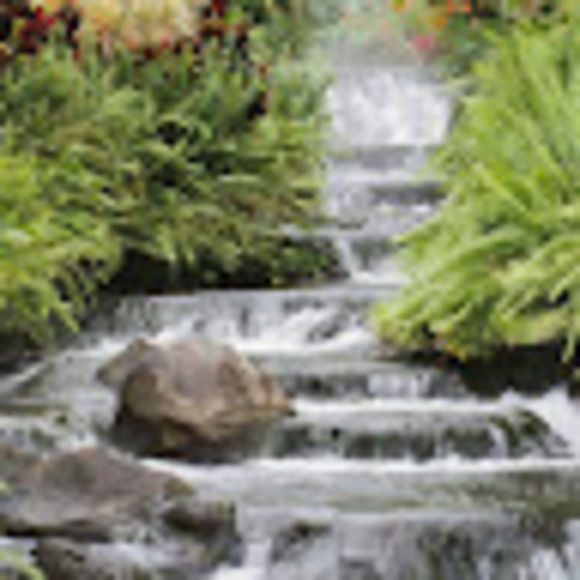 Meet your Posher, Adam - Picture 1 of 1